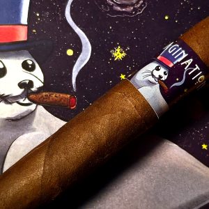 Close up picture of Imagination Cigar