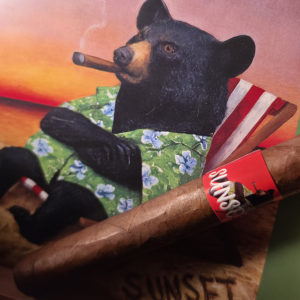 Sunset Toro 5 Pack